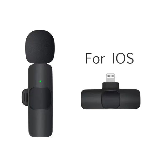 Wireless portable microphone